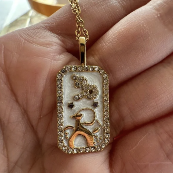 Charm Necklaces